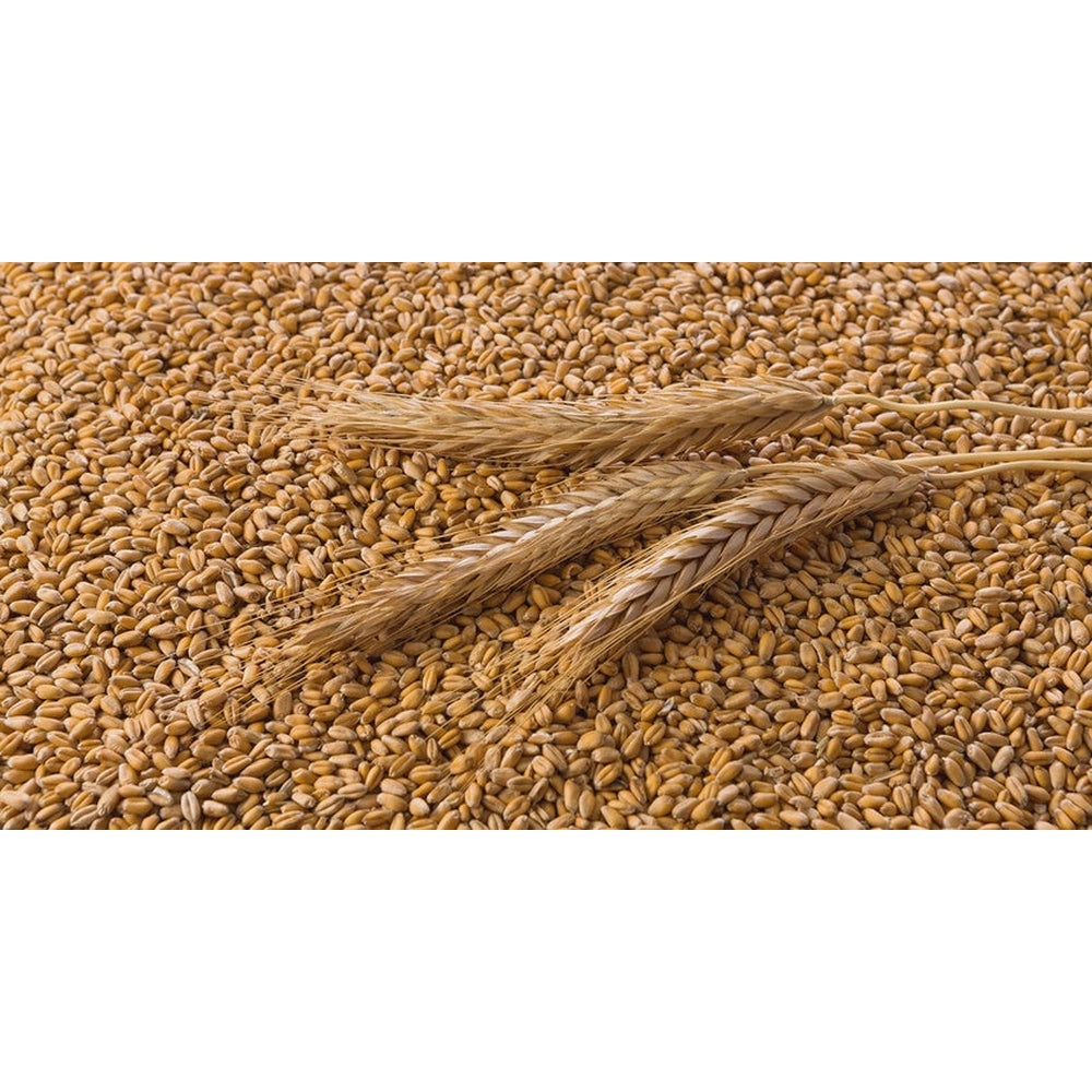 EAS Whole Wheat 20kg