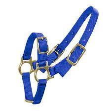 Bainbridge Sheep/Goat Halter - Blue