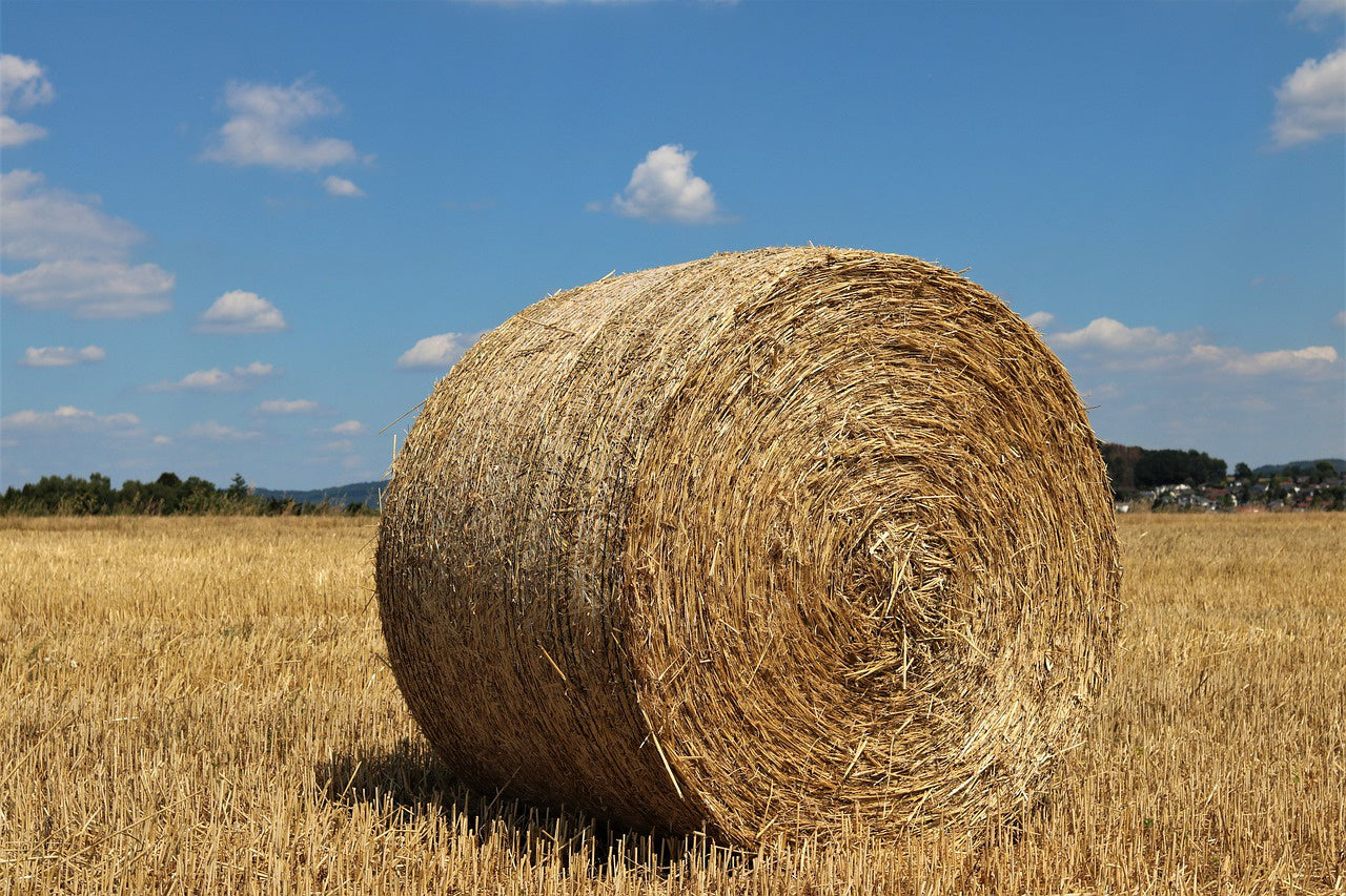 5x4 Round Oaten Hay