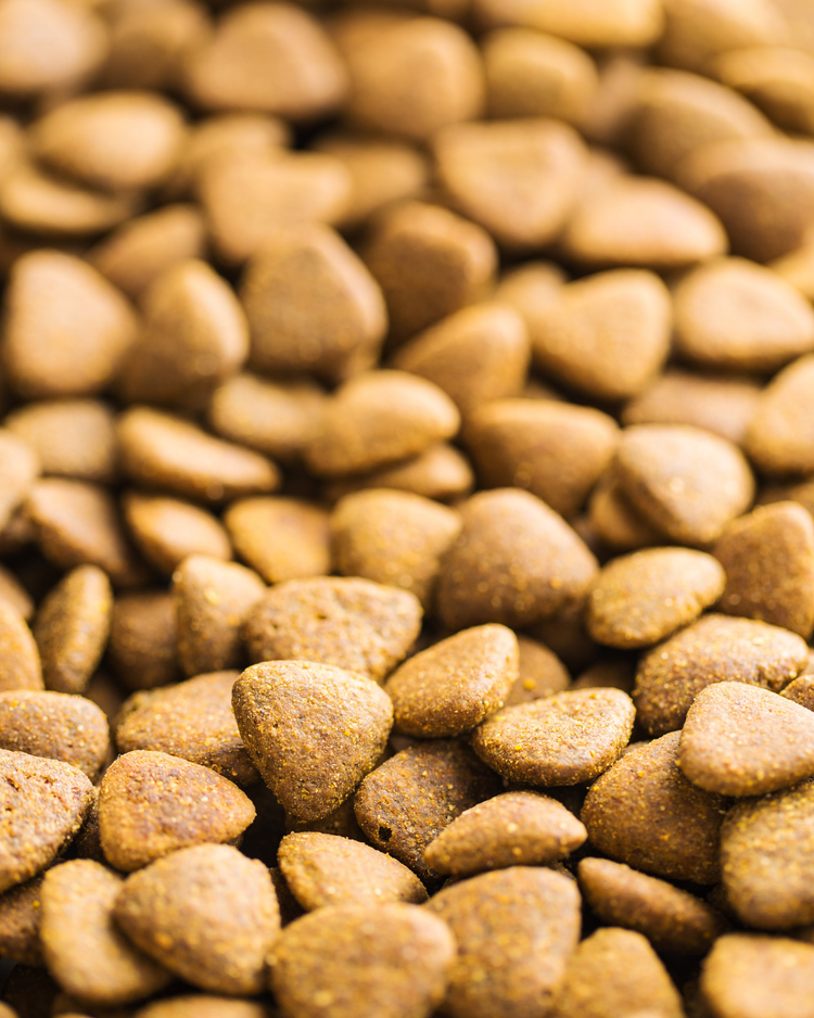 Cat Food