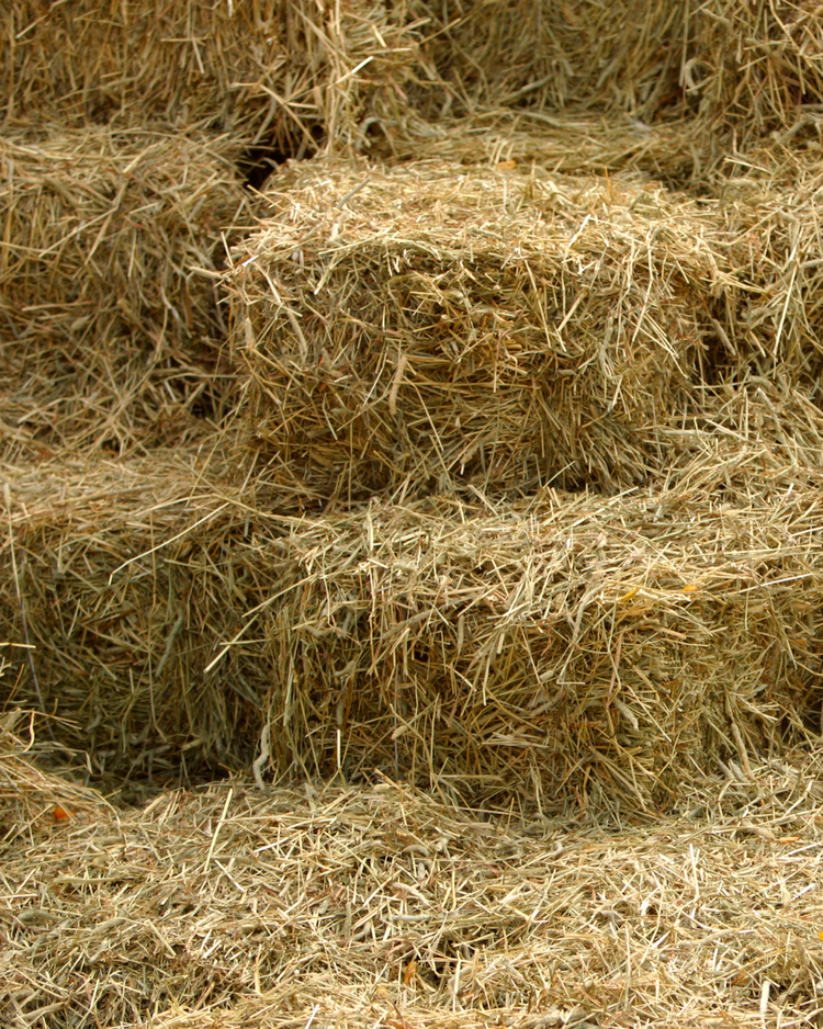 Hay & Straw
