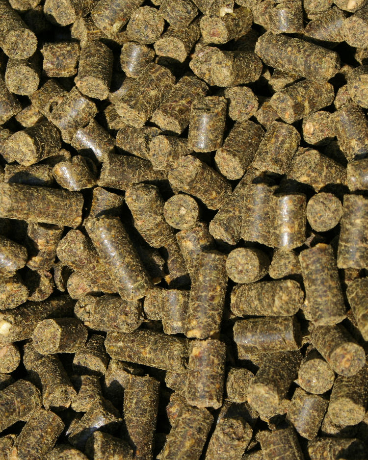 Horse Food