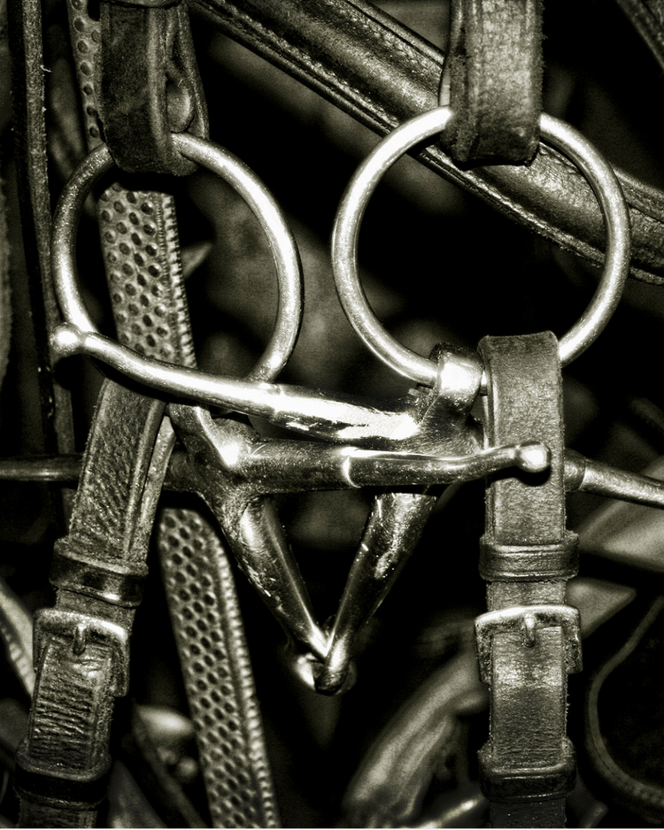Horse Tack