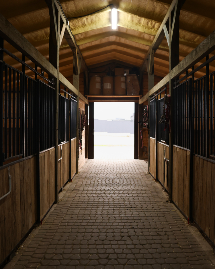 Horse Supplies