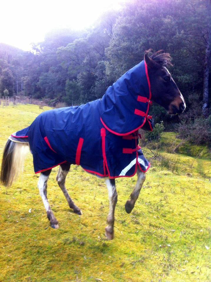Horse Rugs