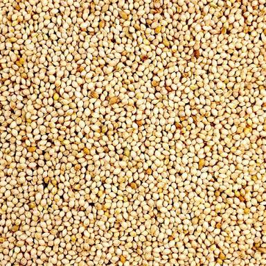 Seedhouse White French Millet 20kg