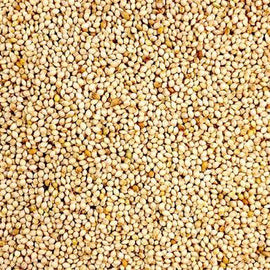 Seedhouse White French Millet 20kg