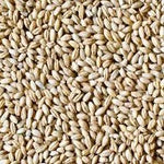 10 Bags - Whole Barley (20kg)