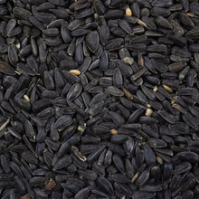 Seedhouse Black Sunflower 5kg