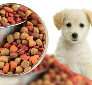 Essential Animal Supplies