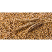 EAS Whole Wheat 20kg