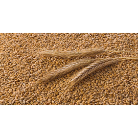 EAS Whole Wheat 20kg