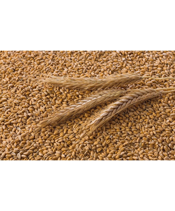 EAS Whole Wheat 20kg