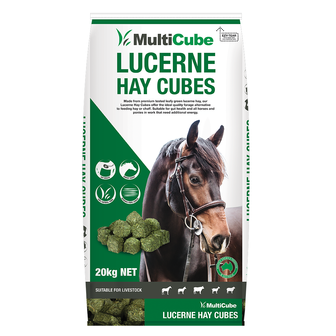 Multicube Lucerne Hay Cube 20kg