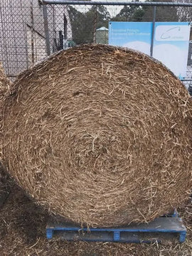 Pea Straw 4x4 Round Bale - Pickup Only