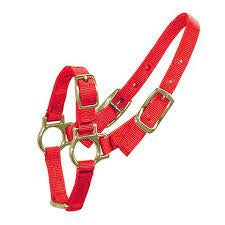 Bainbridge Sheep/Goat Halter - Red