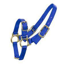 Bainbridge Sheep/Goat Halter - Blue