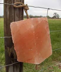 Minrosa Salt Block with Hole 6kg