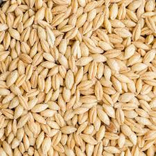Whole Barley 20kg