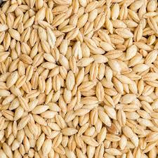 Whole Barley 20kg