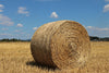 5x4 Round Oaten Hay - Pick Up Only