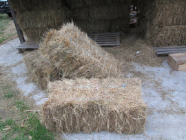 Grass Hay Small Square Bale - Pick  Up Only