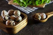 "Rannoch Quail" Eggs 18 Pack