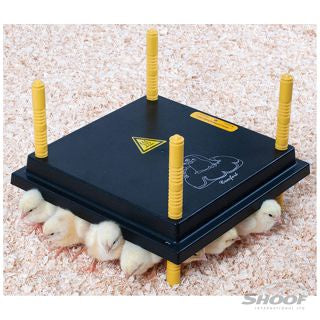 Comfort Chick Heating Plate 30x30cm (nil reg) (20-25 chicks)