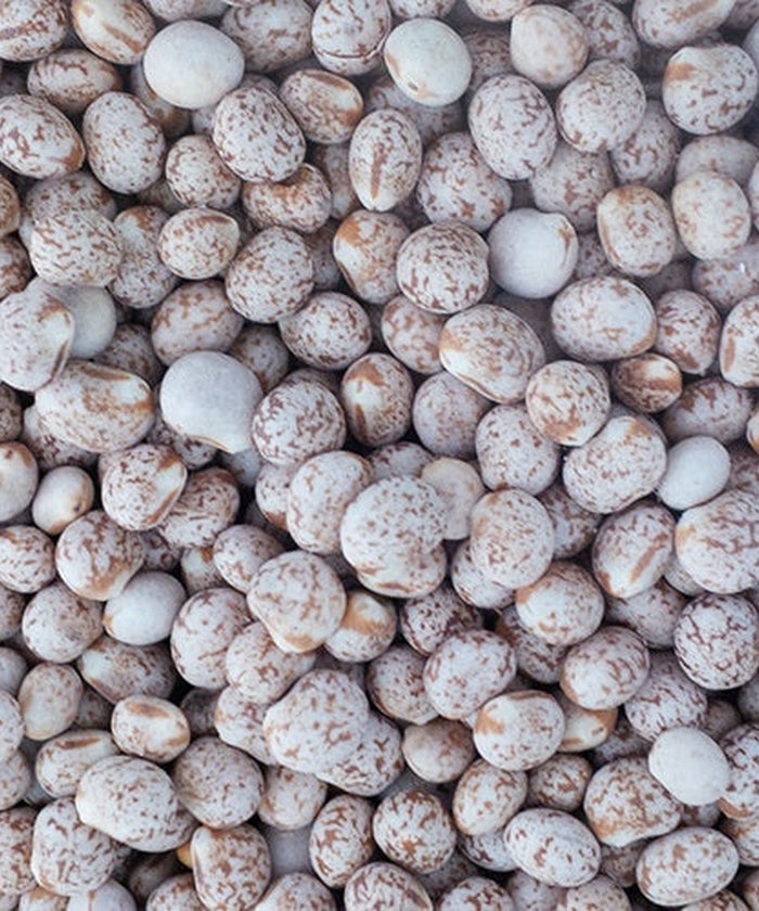 5 Bags - Whole Lupins 20kg