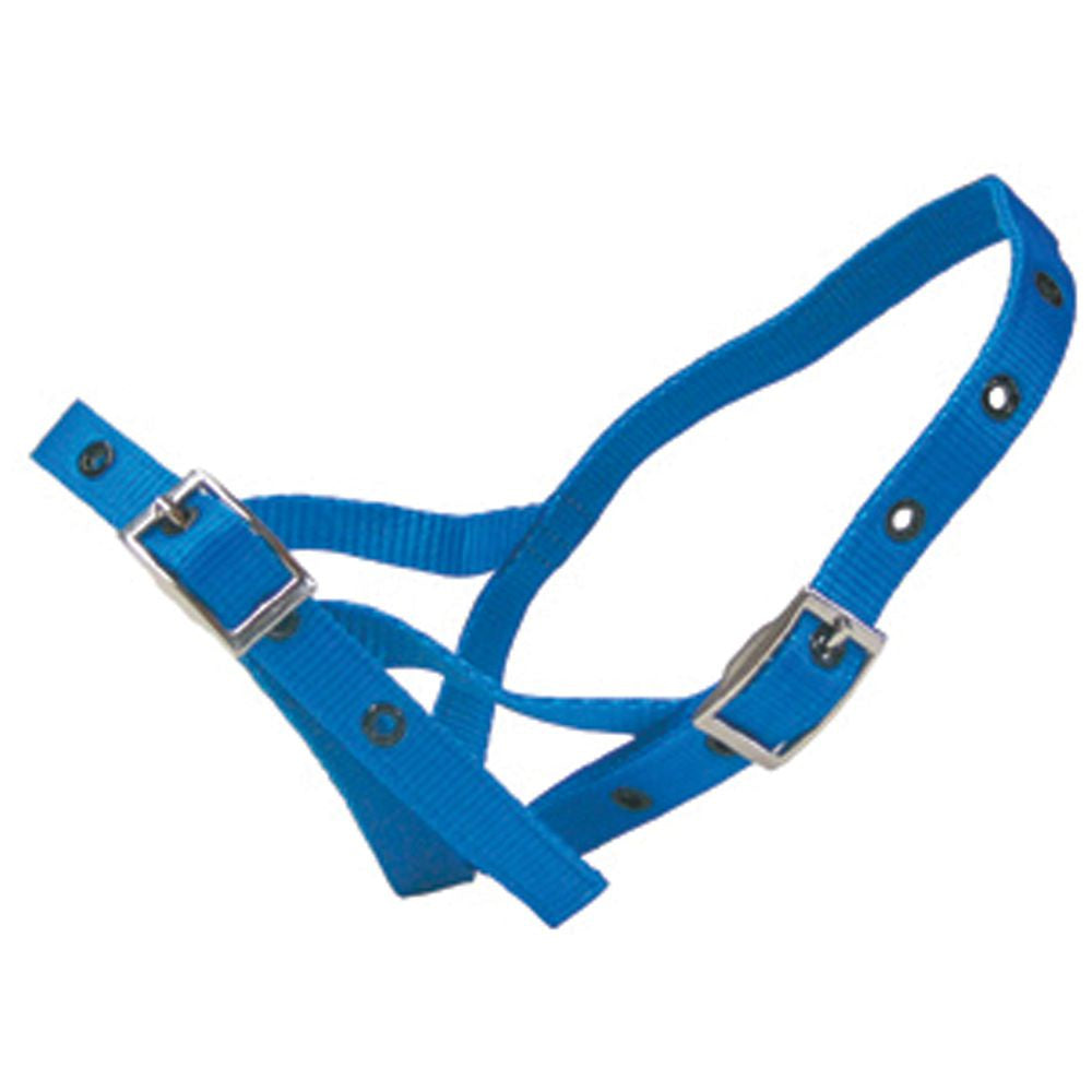 Shoof - Halter Nylon Calf Tethering Blue