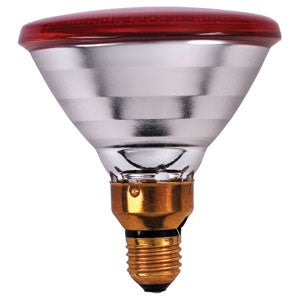 Lamp Infrared Phillips Red 100W
