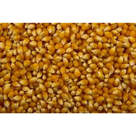 Popcorn Maize 20kg