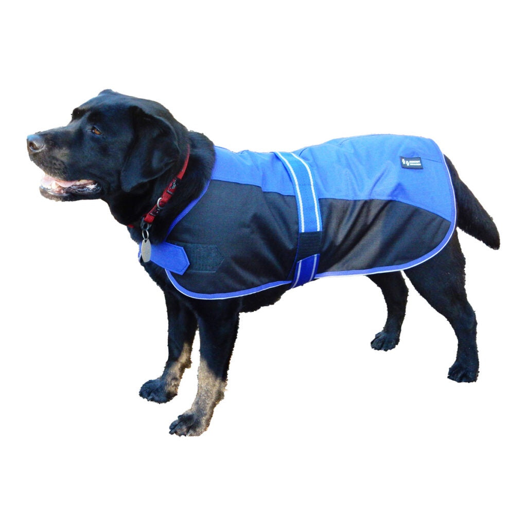 Showcraft - Two Tone Dog Coat