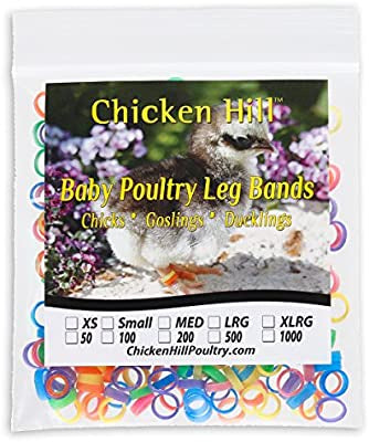 Chicken Hill Leg Bands - X Large 100 Pack