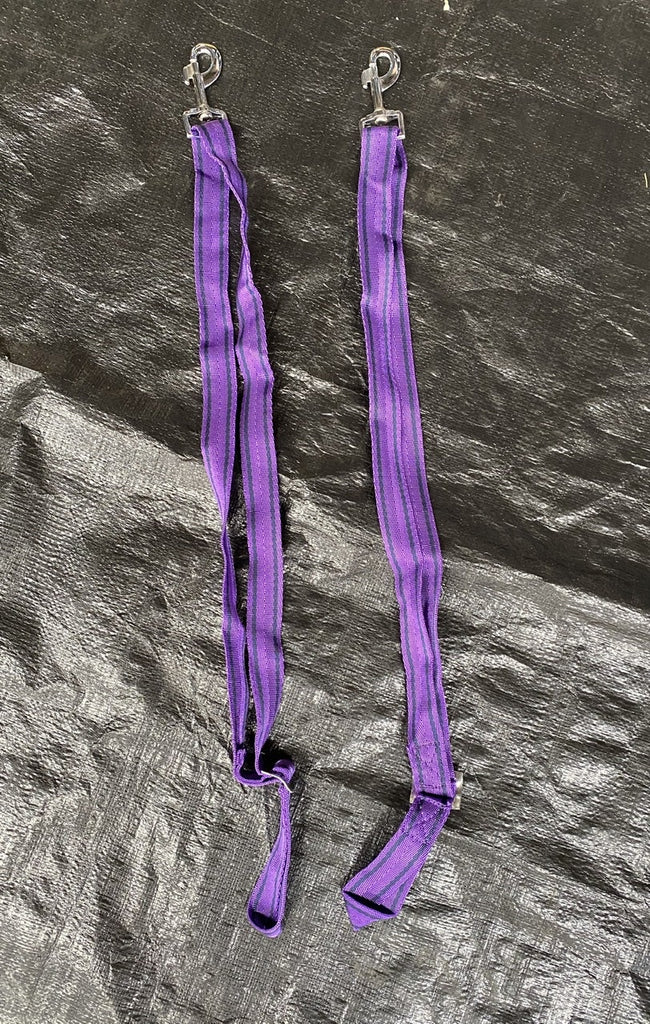 Purple Leg Straps Pair