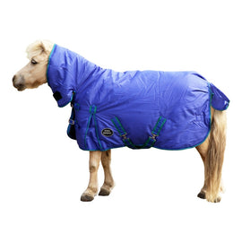 Eureka - Miniature Synthetic Winter Combo