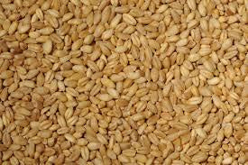 Tas Stockfeed Whole Wheat 20kg