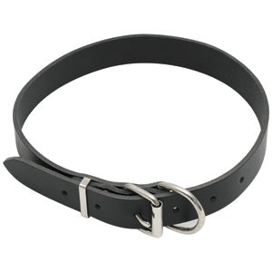 Dog Collar Leather Heavy Duty Size 2 (57cm)