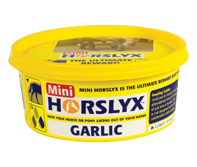 Horslyx Garlic Mini Vit & Mineral Lick 650g