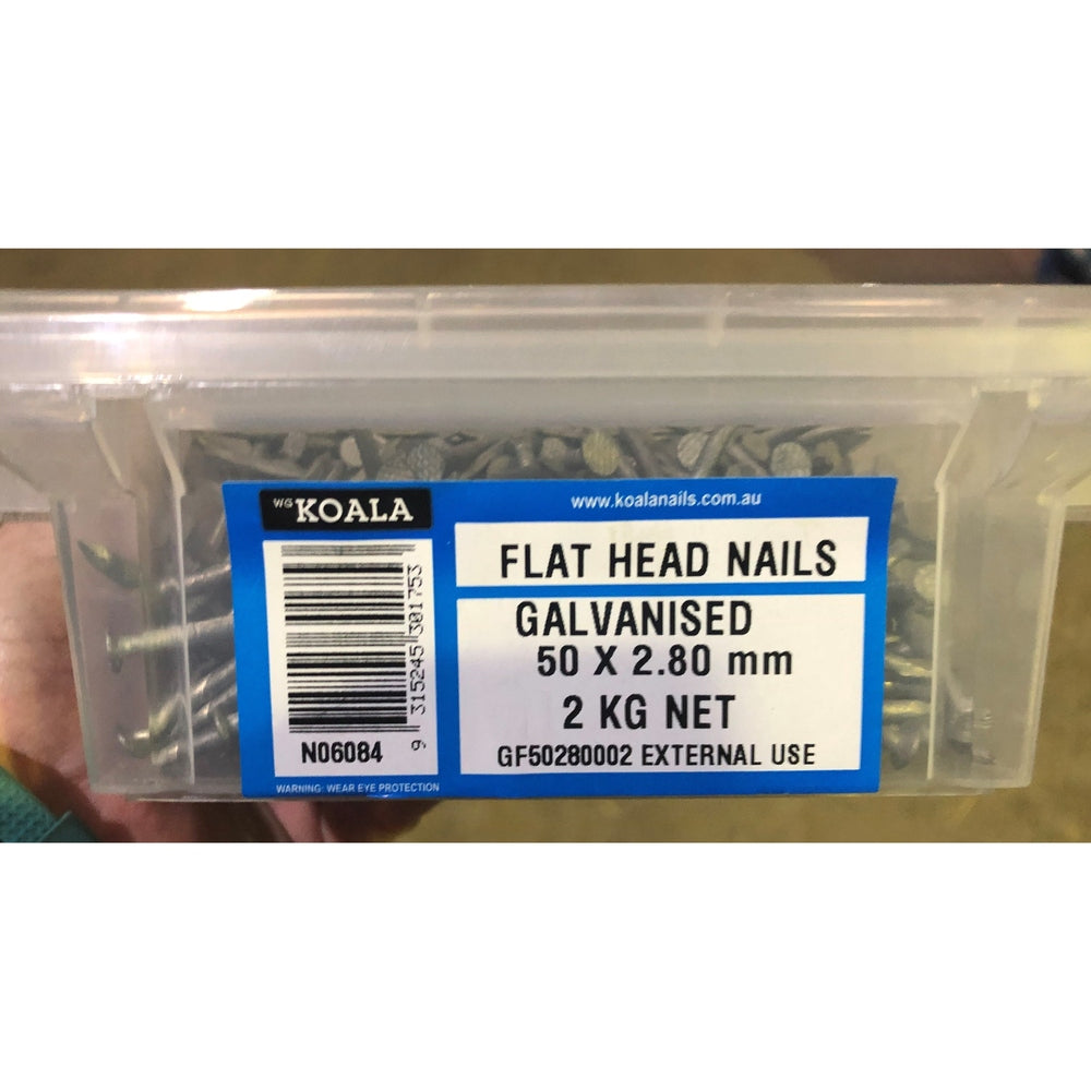 Flat Head Nails Galvanised - 50mm X 2.8mm 2kg
