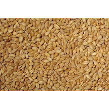 5 Bags - EAS Whole Wheat (20kg)