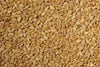 5 Bags - EAS Whole Wheat (20kg)