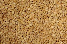 5 Bags - EAS Whole Wheat (20kg)