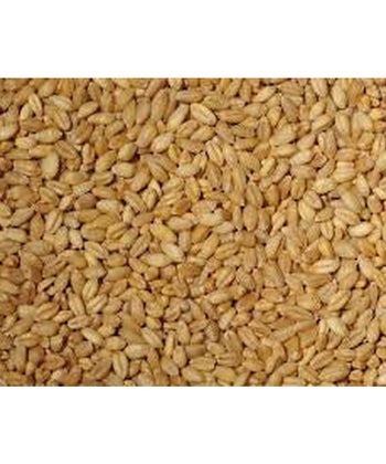 5 Bags - EAS Whole Wheat (20kg)