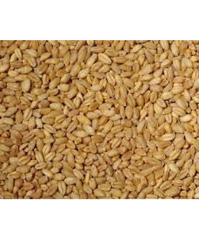 5 Bags - EAS Whole Wheat (20kg)