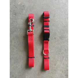 Nylon Leash and Collar BUNDLE - Red