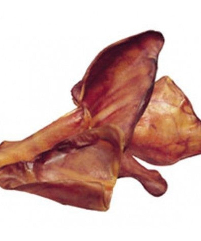 Pigs Ears 10 Pack