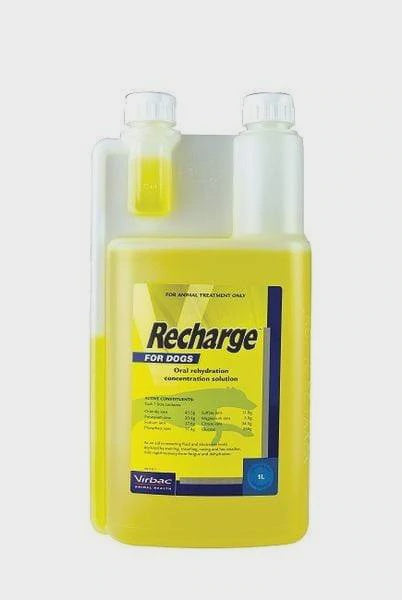Virbac Recharge for Dogs 1L