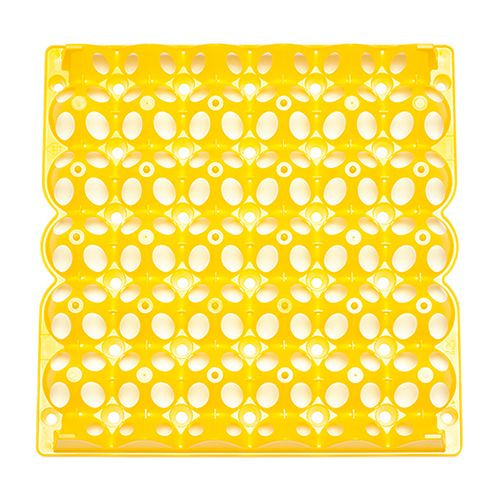 Plastic Poultry Egg Tray (Yellow)