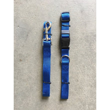 Nylon Leash and Collar BUNDLE - Blue